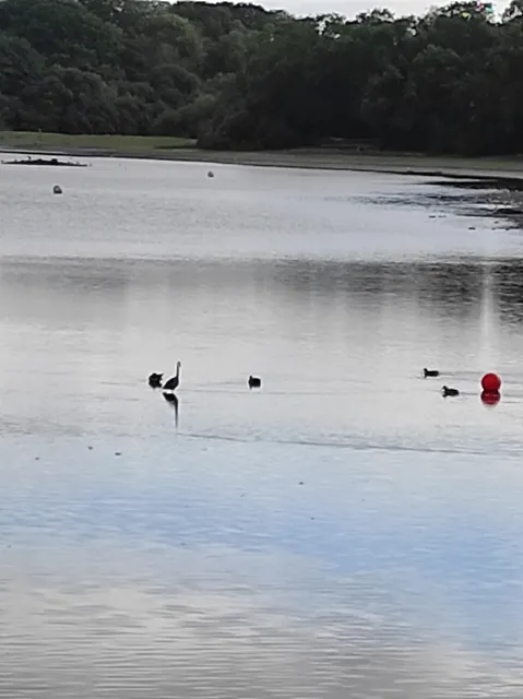 photo-2