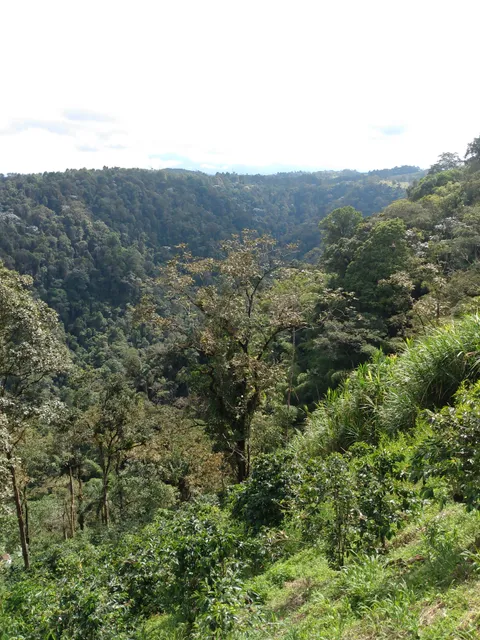 Cañón del Río Barbas
