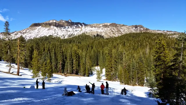 photo-1