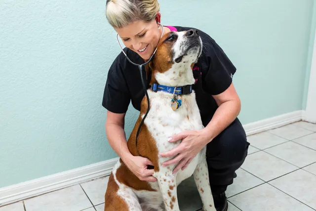 Brazos Woods Veterinary Clinic