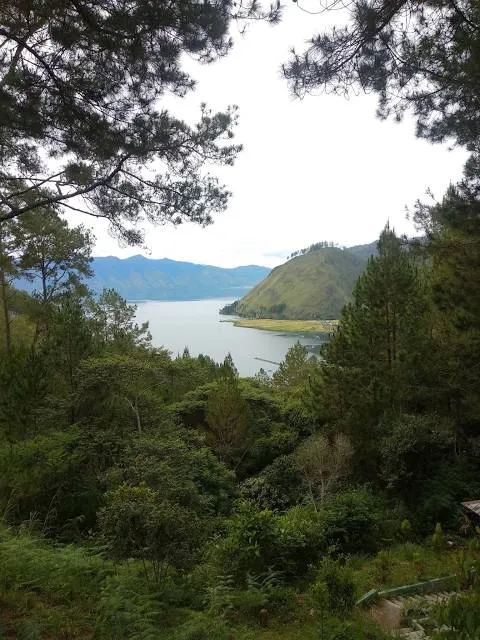 Bur Telege - Takengon