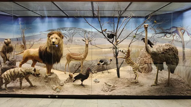 South-Western Administrative Okrug