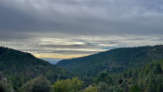 Collado de los Jardines