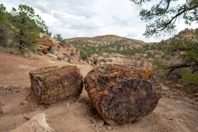 Escalante Petrified Forest State Park
