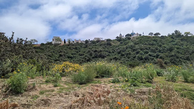 Tecolote Canyon Natural Park and Nature Center