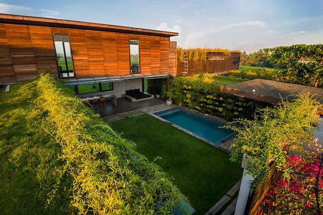 Kontiki by Joshua Design