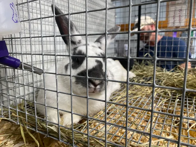 South Mountain Fairgrounds