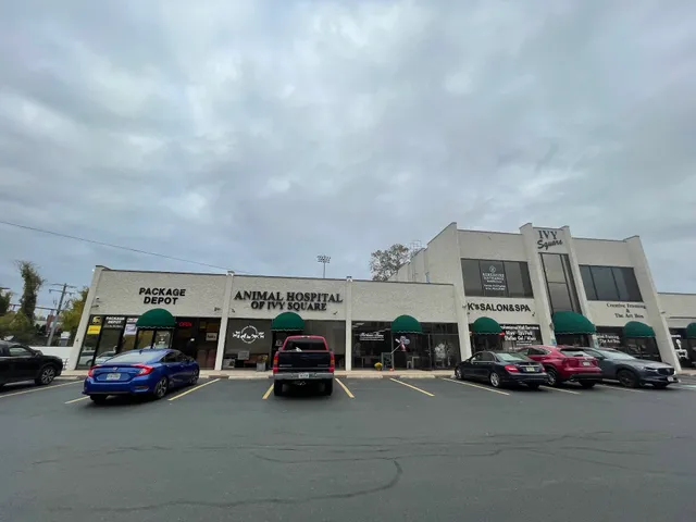 Ivy Square Shopping Center