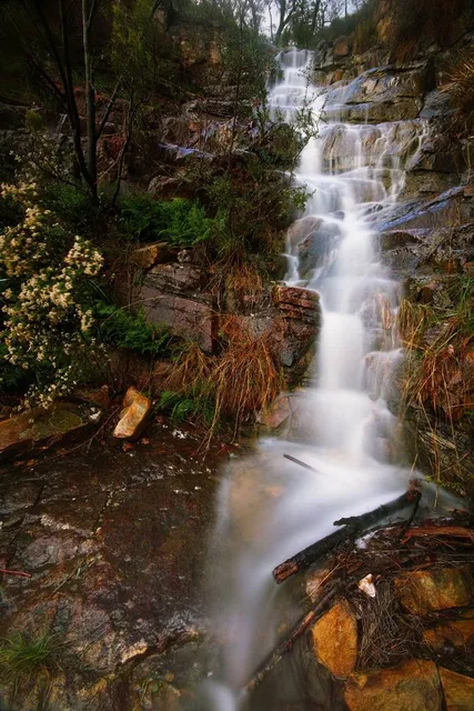 Horsnell Gully Conservation Park