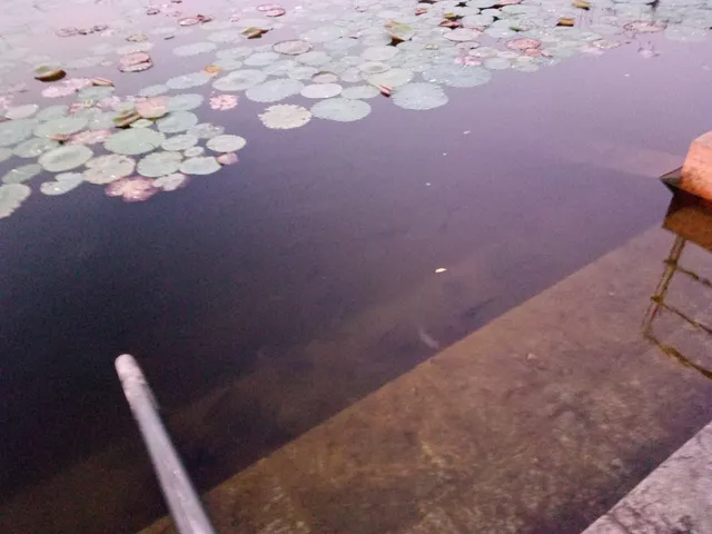 Temp Kids Theme Park