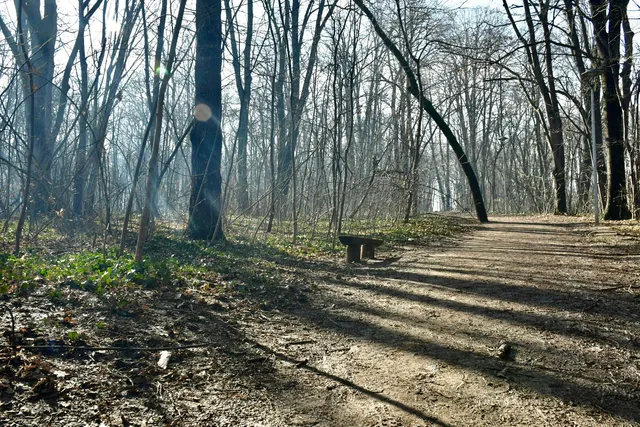 Hyde Park