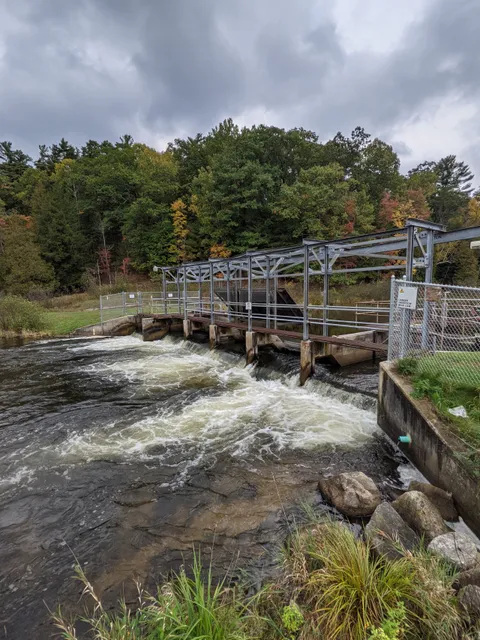 Little Manistee Weir