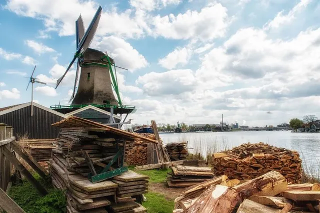 Het Jonge Schaap, Zaandam