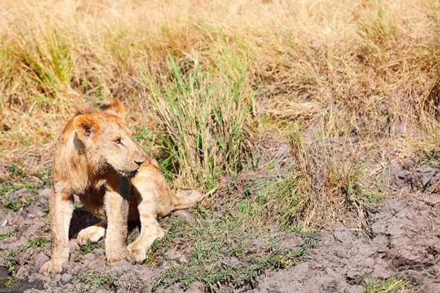 Nisela Nature Reserve