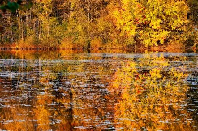 Tinkers Creek State Nature Preserve