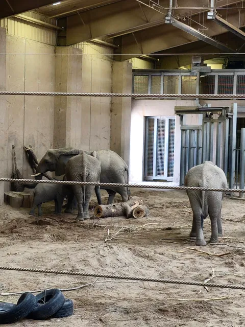 Elephant Family Quarters