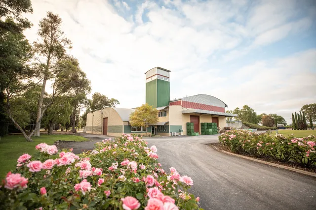 Balnaves of Coonawarra
