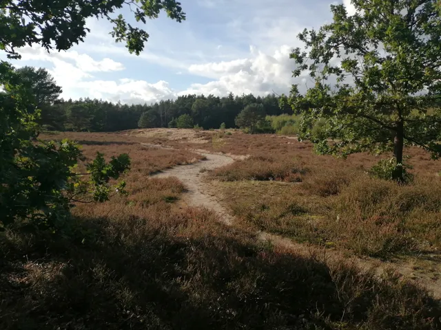 Bodenteicher Heide