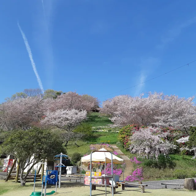 Oyasu Park