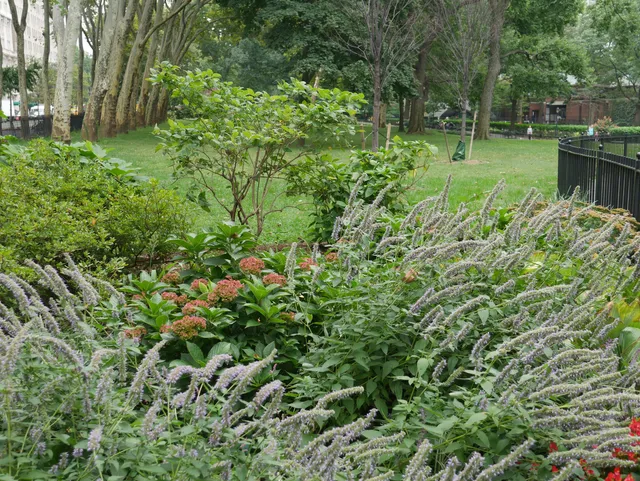 Theodore Roosevelt Park