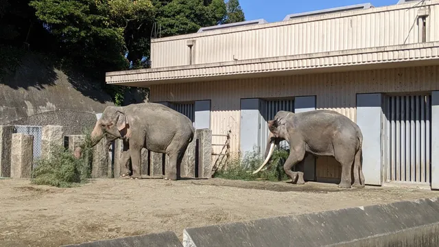 Kanazawa Zoological Gardens