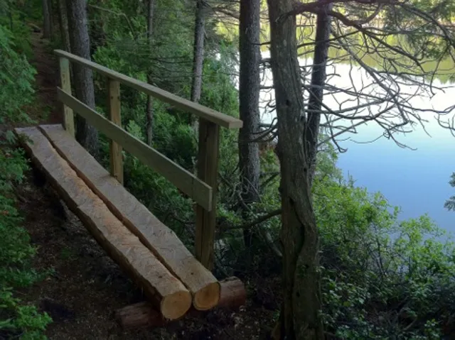 Devil's Back Trail Area