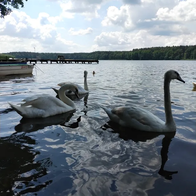 Wypożyczalnia sprzętu wodnego Lubiatów