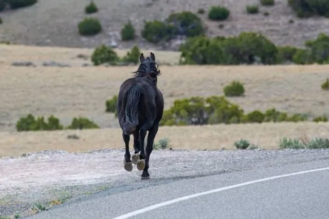 !Khwa ttu San Culture & Education Centre