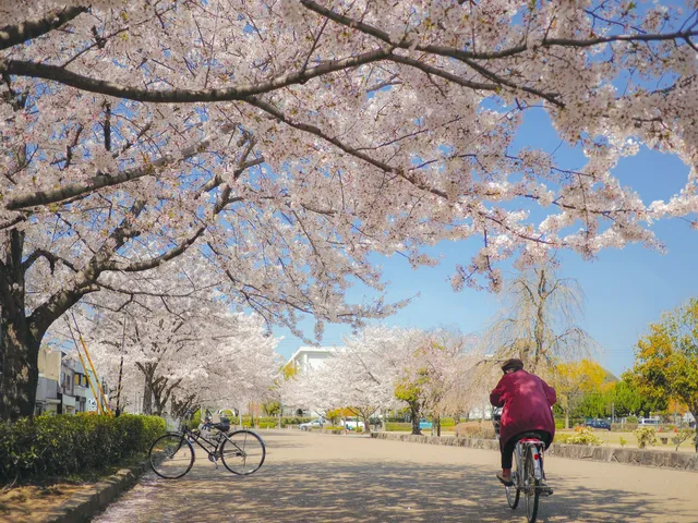 Karoyashiki-ato Park (Historic Site Park)