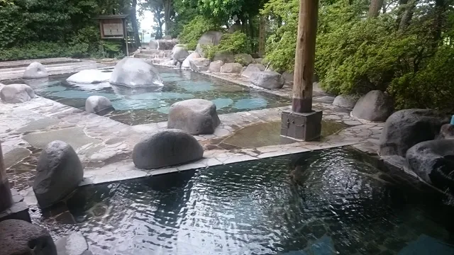 ドングリムラオンセンセンター