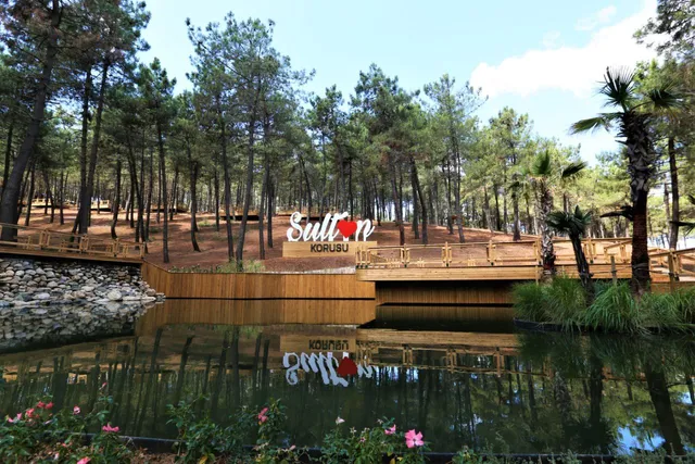 Sultan Korusu Mesire Alanı