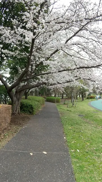 Omiya Third Park