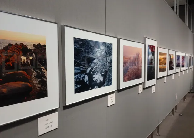 Fujifilm Photo History Museum