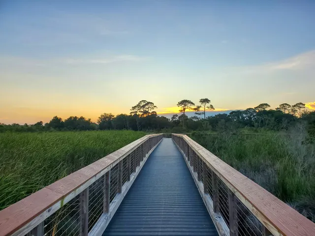 Shoreline Wetlands Trail Boardwalk