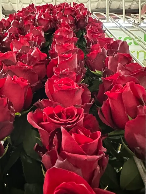 Hunts Point Flower Market,INC