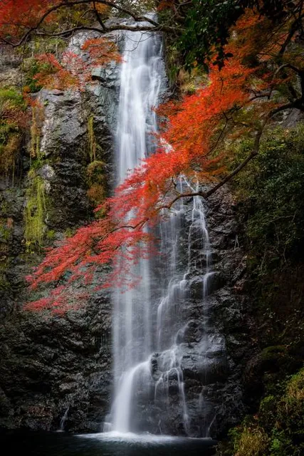 photo-2