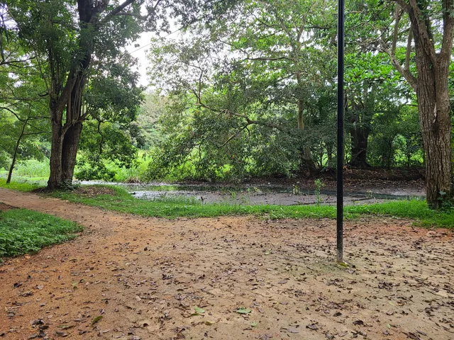Nature Park Anuradhapura