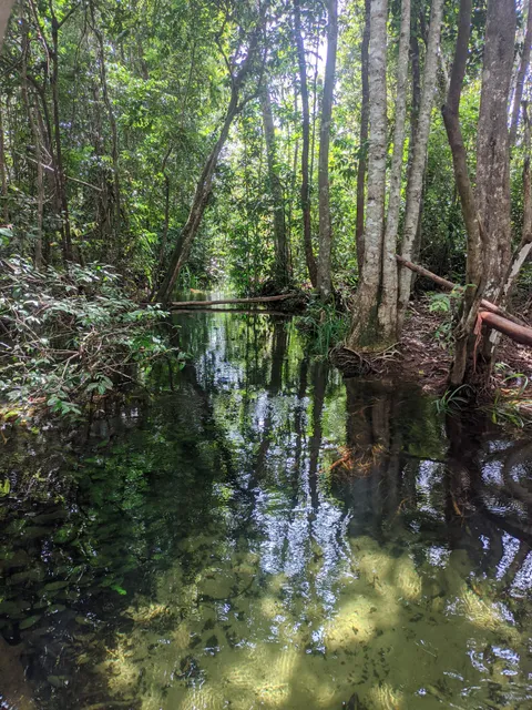 PAYE DESA PURUN ( AKO SERIBU)