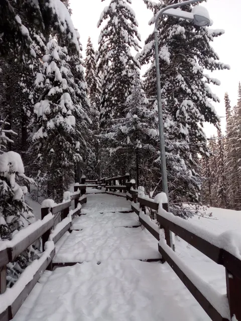 Prirodnyy Park Samarovskiy Chugas