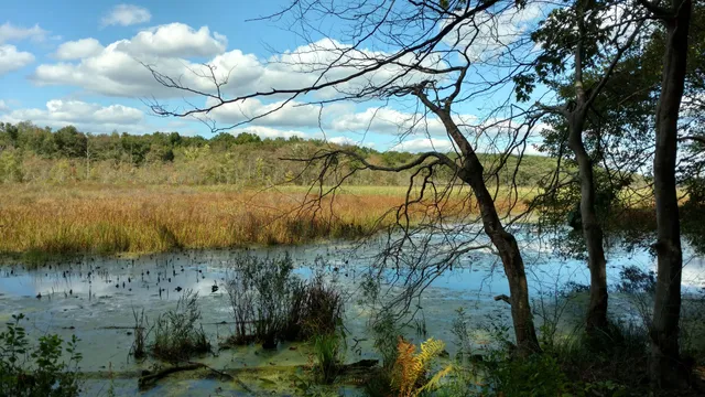 Black River Wildlife Management Area