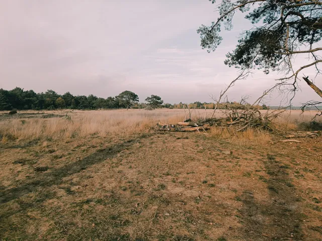Ingang Hoenderloo Nationaal Park De Hoge Veluwe