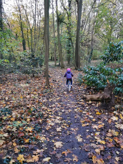 Parc du Gros Buisson