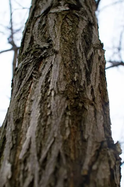 Réserve naturelle du Delta de la Sauer