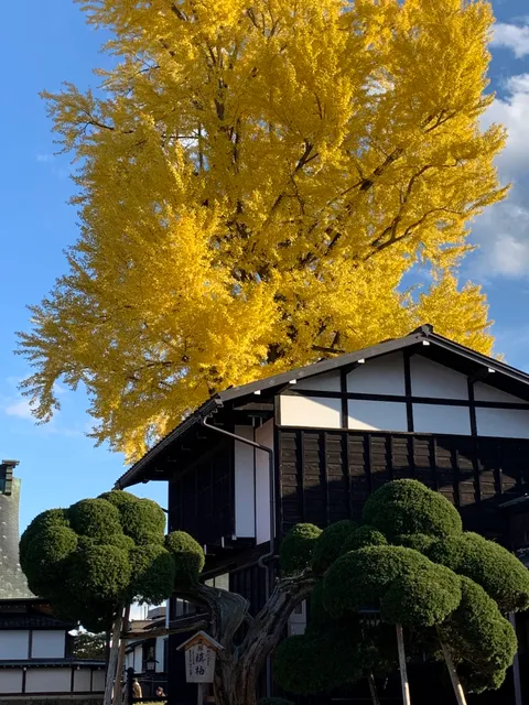 photo-1