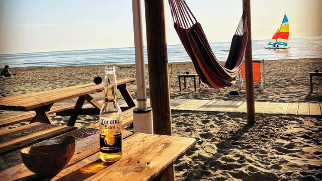 Single Fin Tuscany Dog Beach