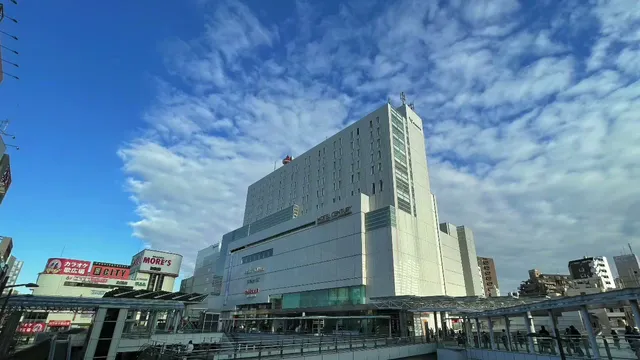 Odakyu Hotel Century Sagami-Ono