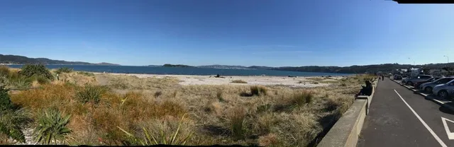 Petone Foreshore