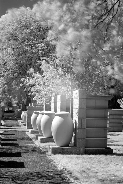 Mountain View Cemetery - City of Vancouver