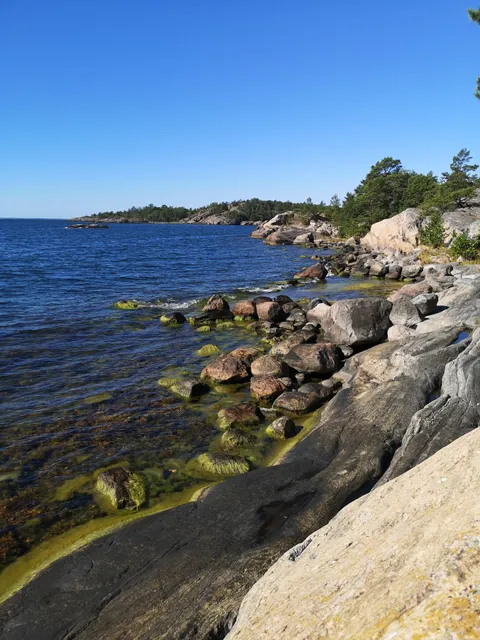 Femöre naturreservat