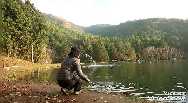 Kashiwagura Fishing Park